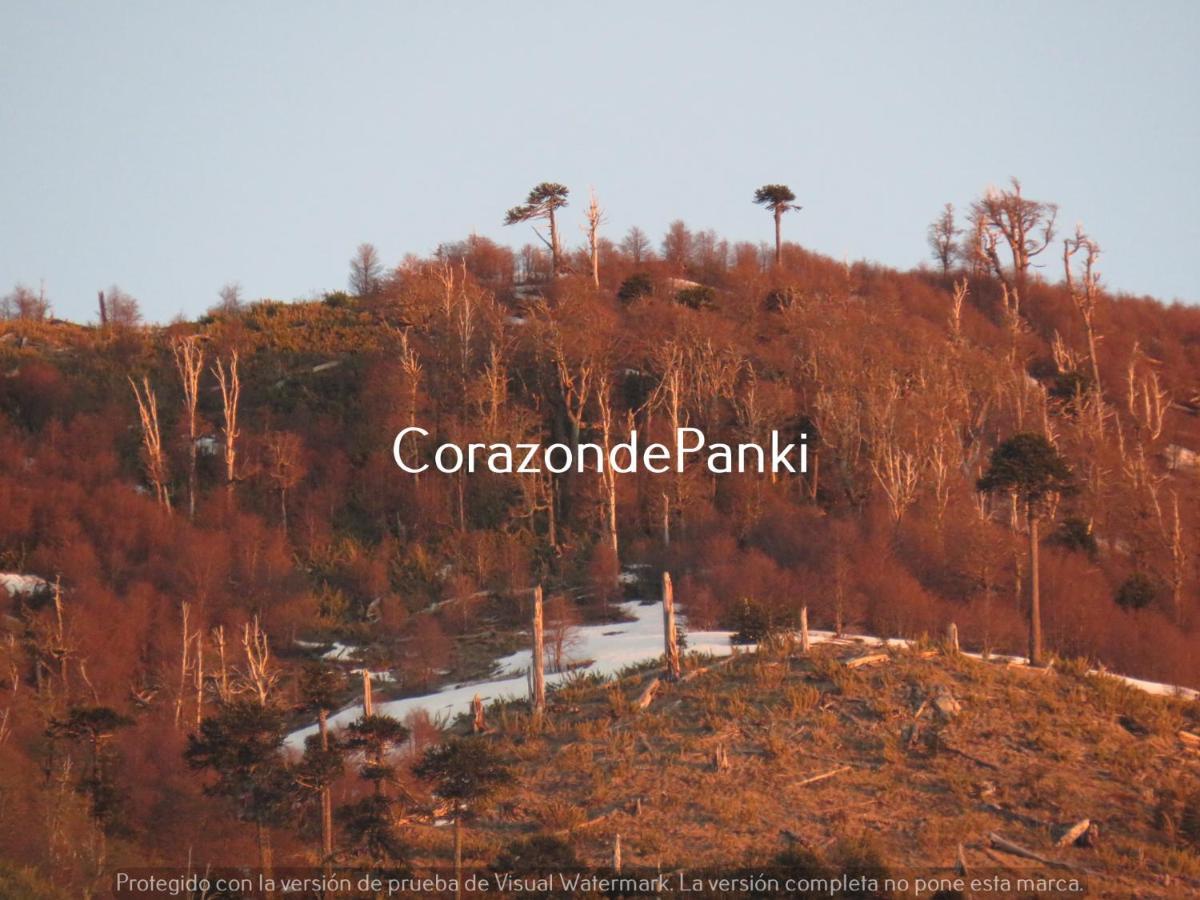 CurarrehueCorazon De Panki别墅 外观 照片